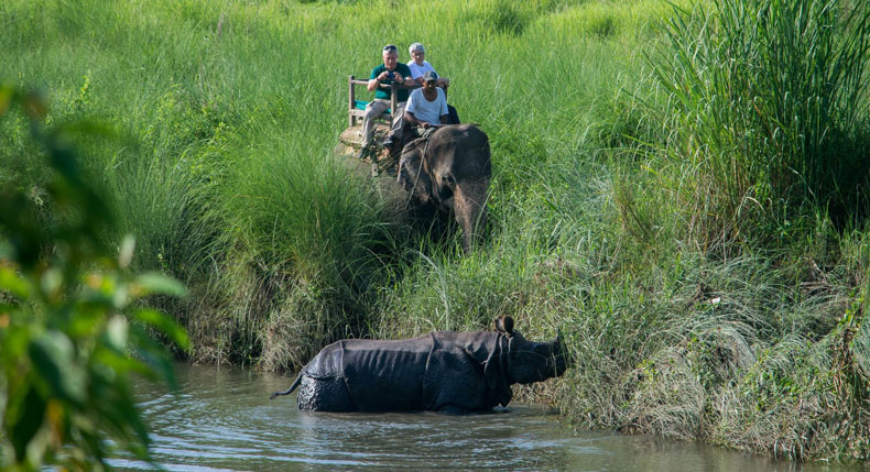 Wildlife Activities