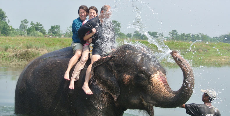 Chitwan Wildlife Activities