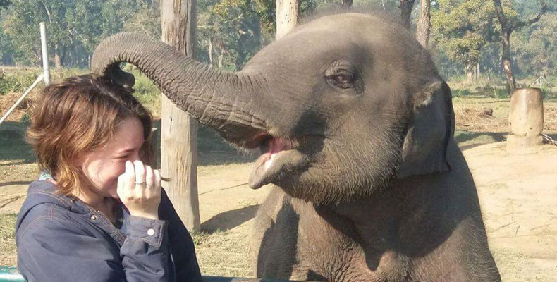 Chitwan Wildlife Activities