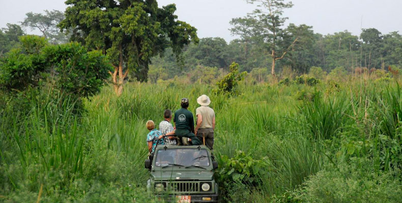 Chitwan Wildlife Activities