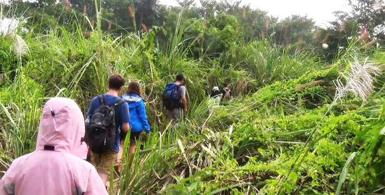 Chitwan Wildlife Activities