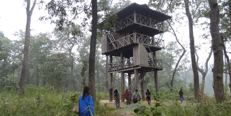 Chitwan Wildlife Activities