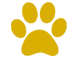 Wildlife Tour
